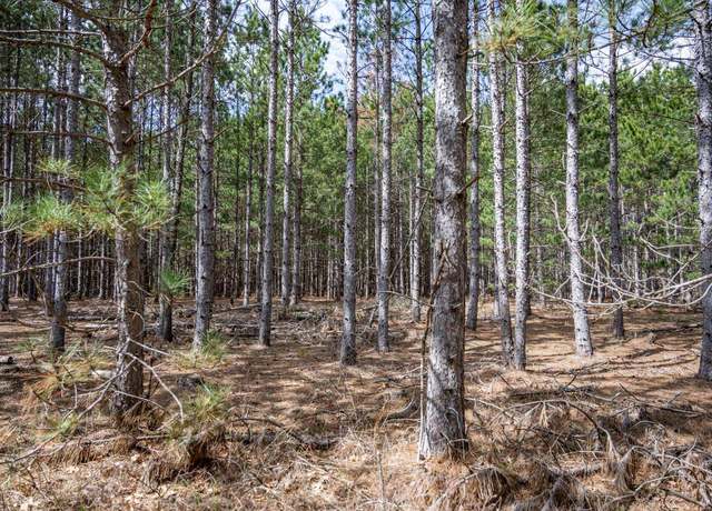Property at Lot 9 10th Ave, Necedah, WI 54646