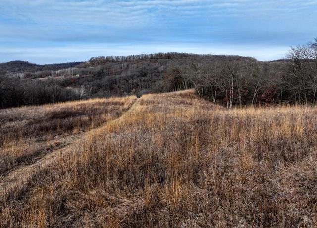 Property at 165+/- Acres Miess Rd, Dodgeville, WI 53533