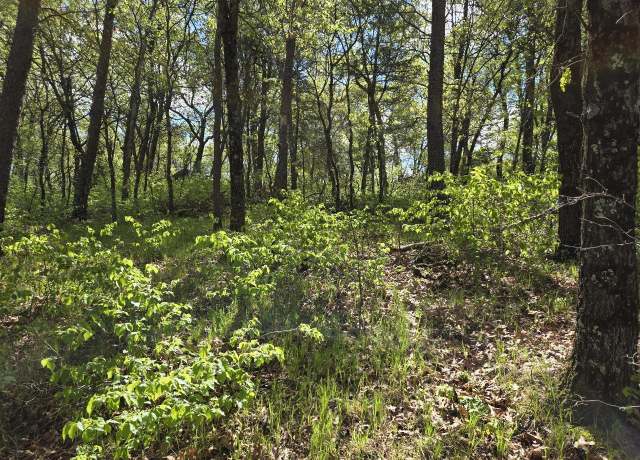 Property at 1163 Brown Bear Trl, Nekoosa, WI 54457