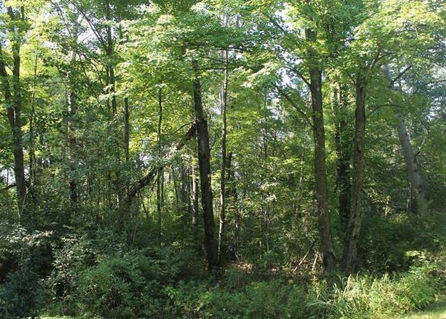 Property at Lot 53, 3rd Ave, Oxford, WI 53952