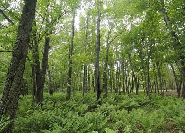 Property at Lot 1`CSM 2309 Deer Run, Montello, WI 53949