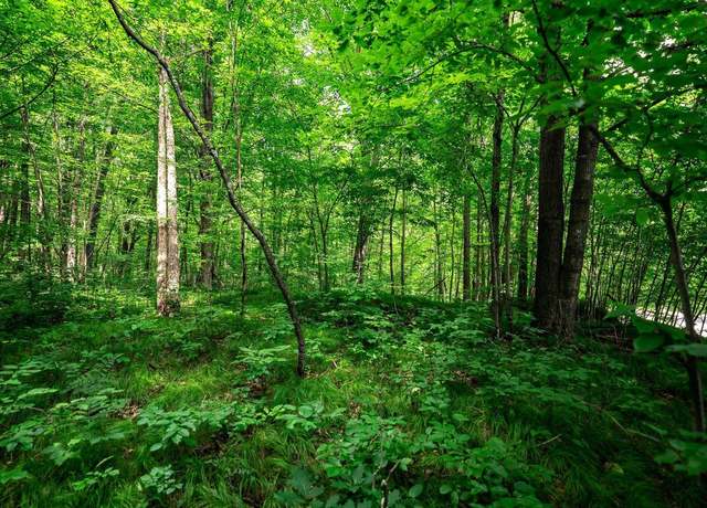 Property at 13.33 acres Oak Ridge Rd, Willard, WI 54731
