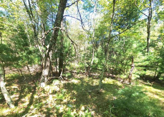 Property at W Pine Creek Rd, Hixton, WI 54635