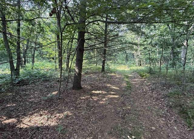 Property at 3.65 AC W Limits Rd, Lyndon Station, WI 53944