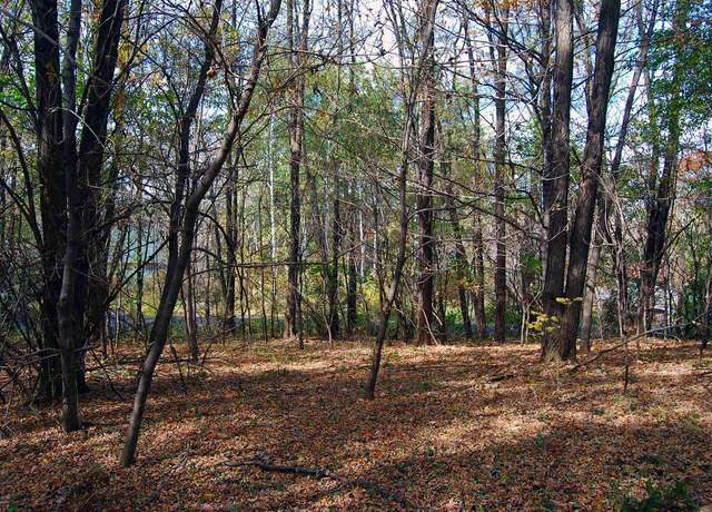 Property at Lot 9 Penguin E Redstone Dr, La Valle, WI 53941