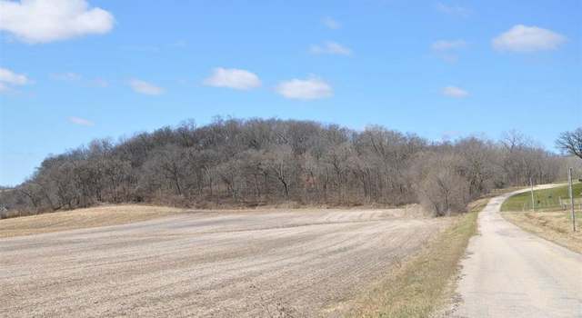 Photo of L1 Stone Valley (csm 15065), Cross Plains, WI 53528