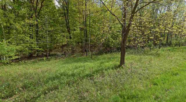 Photo of L169 Black Forest Dr, La Valle, WI 53941