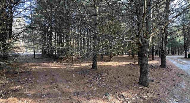 Photo of Lot 1 Sandy Pines Ct, Redgranite, WI 54970