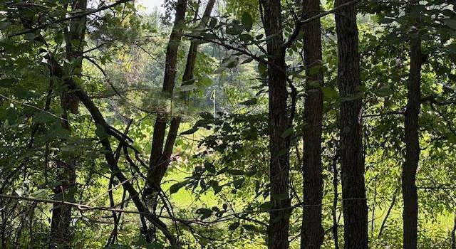 Photo of lot 13 W 19th Ln, Strongs Prairie, WI 54613
