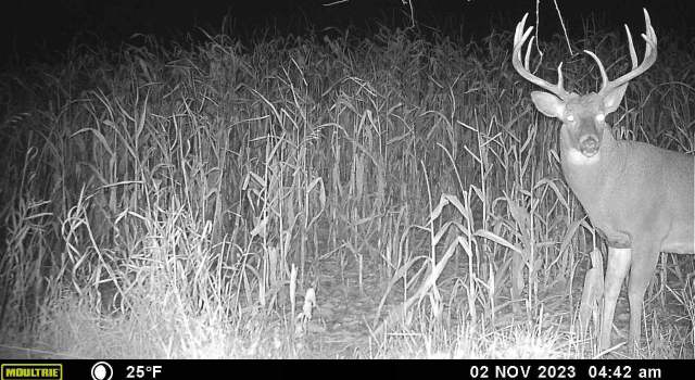 Photo of E4097 County Road O, Viroqua, WI 54665