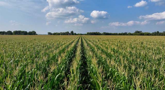 Photo of 902.52� Acres Vacant Land, Livingston, WI 53554