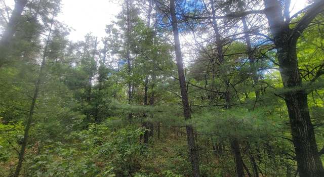 Photo of Lot 2 Highway 21, Friendship, WI 53934