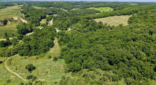 Photo of 000 Cannon Rd Rd, Ellenboro, WI 53813
