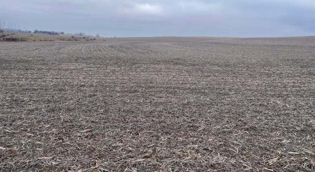 Photo of 29.19 Acres County Road G, Belmont, WI 53510