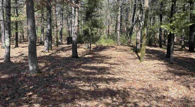 Photo of N2513 County Road 0, Warrens,warrens, WI 54666