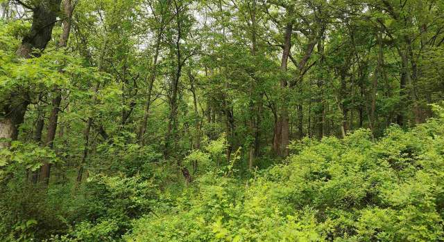 Photo of 14768 Rail Hollow Rd Rd, Woodman, WI 53827