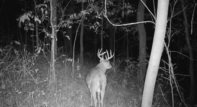 Photo of TBD Clark Rd, Browntown, WI 53522