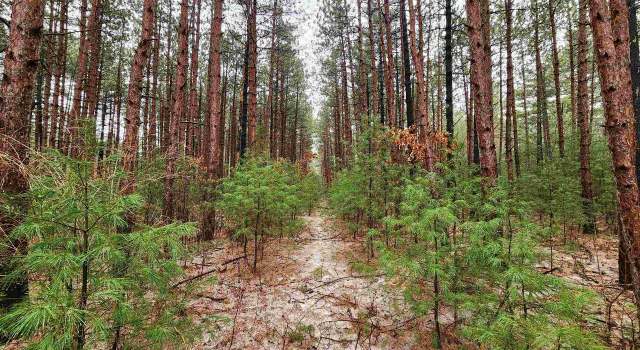 Photo of NHN Phylane Rd, Lone Rock, WI 53556