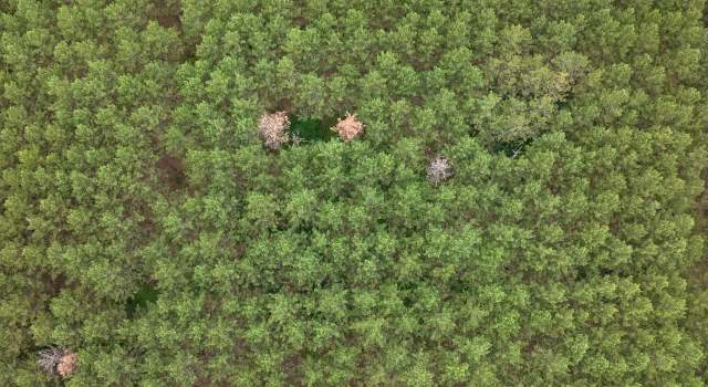 Photo of 391 Twin Lakes Trl, Nekoosa, WI 54457