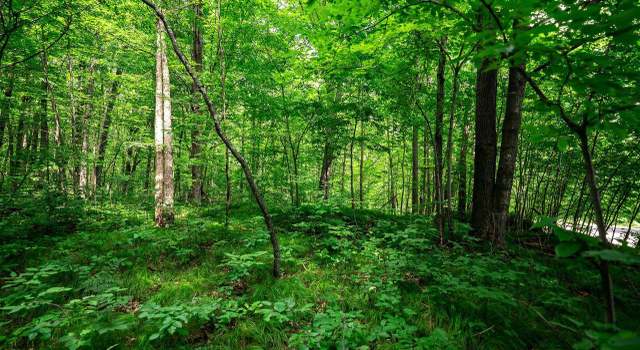 Photo of 13.33 acres Oak Ridge Rd, Willard, WI 54731