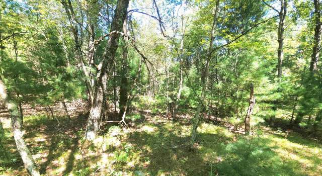 Photo of W Pine Creek Rd, Hixton, WI 54635