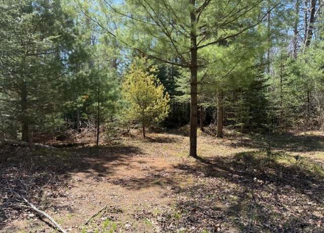 Property at W13295 H & Ln S, Athelstane, WI 54102