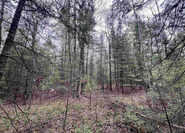 Property at Bruette Rd, Wausaukee, WI 54177