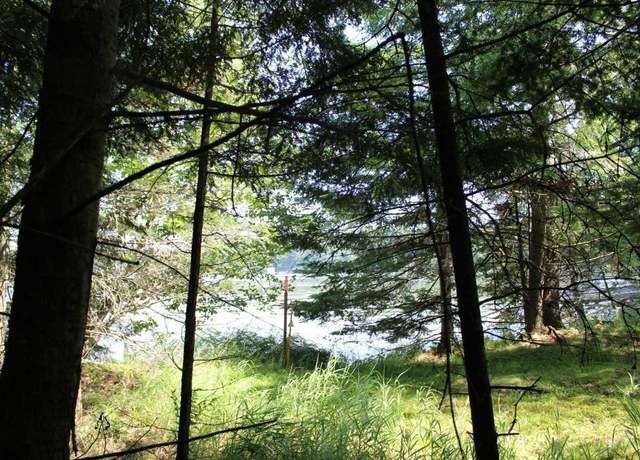Property at Forest Ln, Pickerel, WI 54465