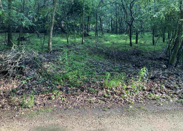 Property at Echo Lake Rd, Wild Rose, WI 54984