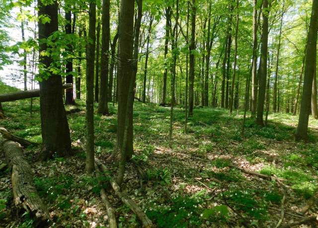 Property at N Meisner St, Wittenberg, WI 54499