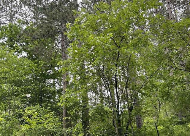 Property at Burnt Pine Rd, Lakewood, WI 54138