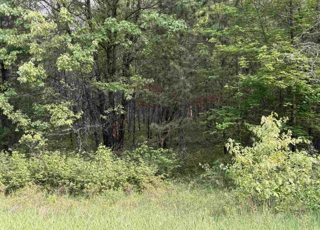 Property at W1926 Great Bear Rd, Keshena, WI 54135