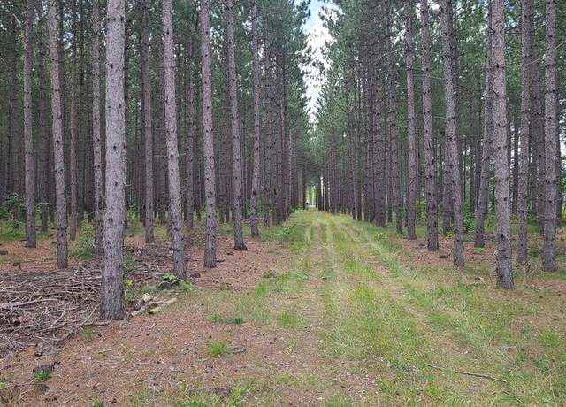 Property at N7299 Spike Horn Ln, Pembine, WI 54156