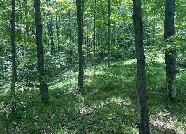 Property at W15799 Fawn Acres Rd, Fence, WI 54125