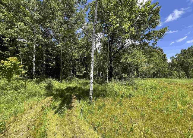 Property at 10556 Dream Lake Rd, Tipler, WI 54542