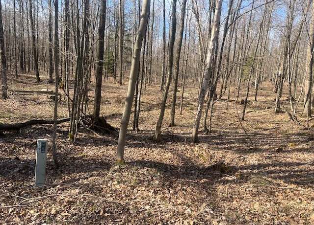 Property at Bartz Bay Rd, Pickerel, WI 54465