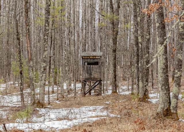 Property at N13549 Mathis Rd, Athelstane, WI 54104