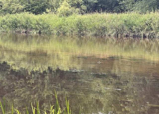 Property at Kimball Ln, Athelstane, WI 54104