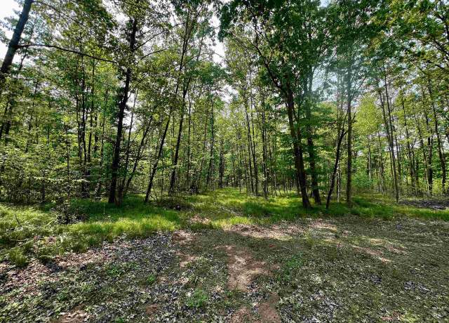 Property at Nejedlo Rd, Wausaukee, WI 54177