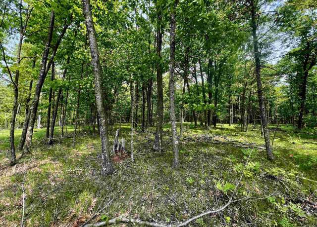 Property at Nejedlo Rd, Wausaukee, WI 54177