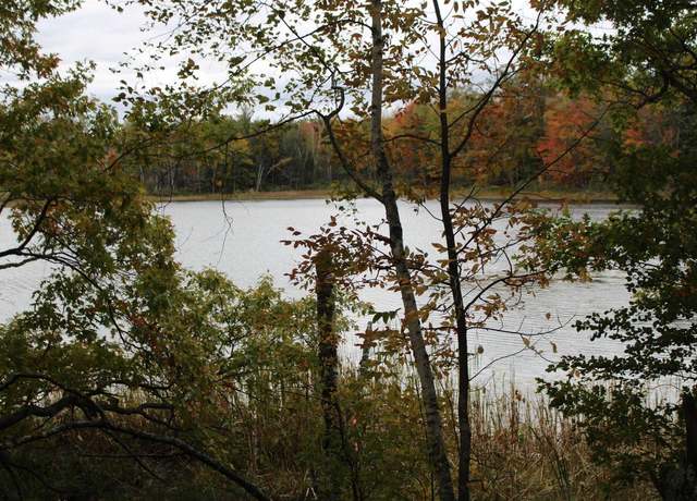 Property at Island Lake Rd, Mountain, WI 54149