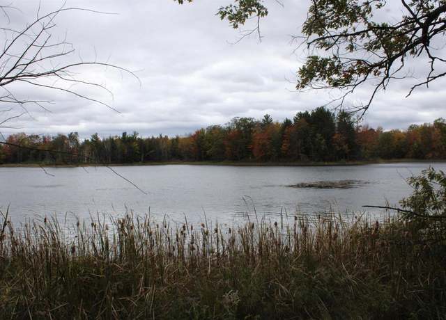 Property at Island Lake Rd, Mountain, WI 54149