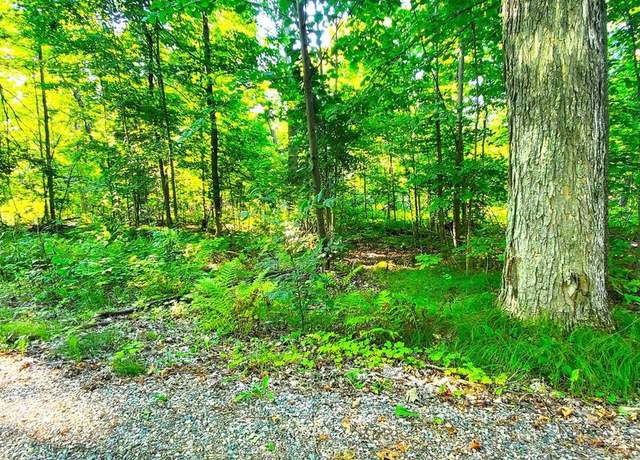 Property at Lake View Dr, Pickerel, WI 54465