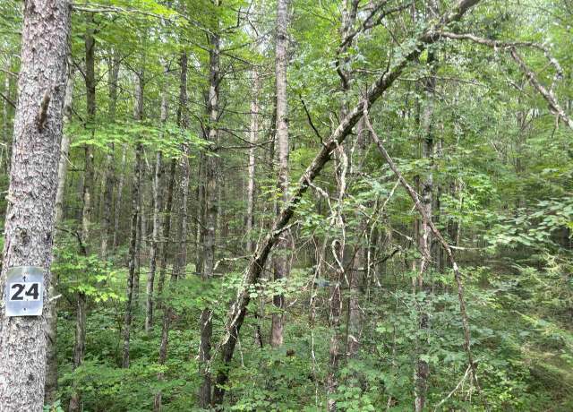 Property at N1714 Hawks Nest Path, Keshena, WI 54135