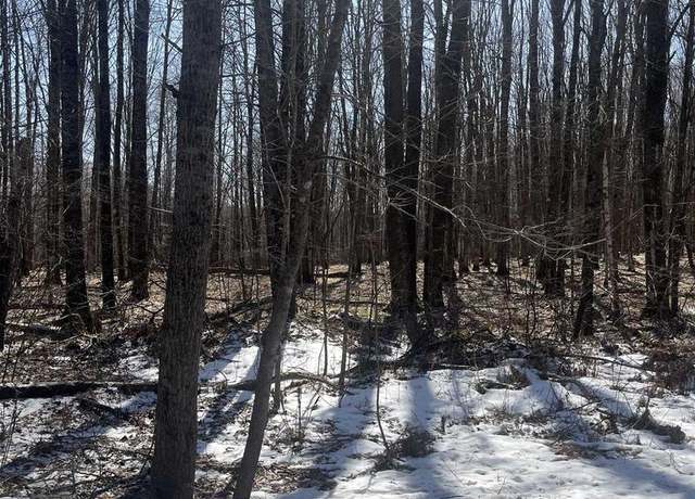 Property at 10555 Easement Rd, Tipler, WI 54542