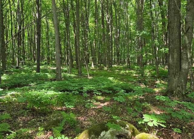Property at 10555 Easement Rd, Tipler, WI 54542