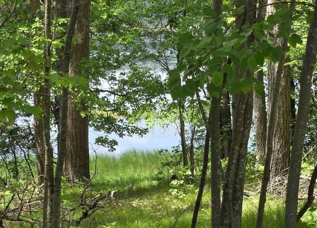 Property at Martin Lane Ln, Mountain, WI 54149