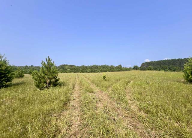 Property at Neumeier Rd, Wausaukee, WI 54177