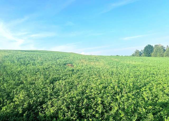 Property at Co Rd 358, Daggett, MI 49821