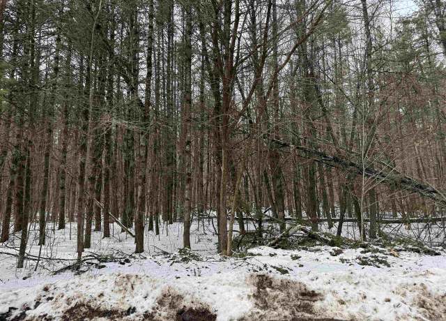 Property at N1603 Spirit Ridge Rd, Keshena, WI 54135